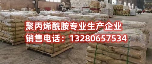 型煤聚丙烯酰胺：绿色能源时代的引领者