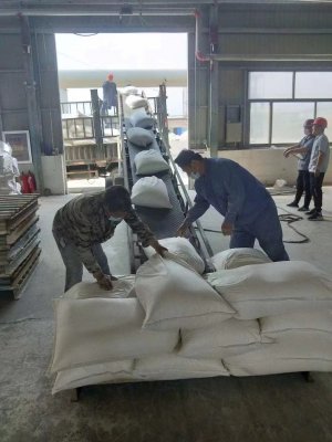 raybey雷竞技最新官网地址产品在工厂厂区内装车完毕，准备运往污水处理项目地点，体现高效的物流体系。